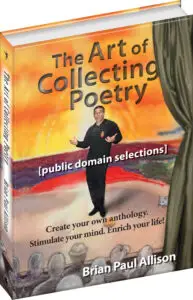 3D angle of the book The Art of Collecting Poetry